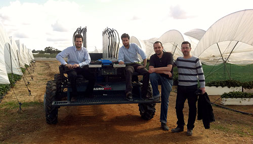 RAC has partnered with AgroBot in the development of strawberry harvesting aids.